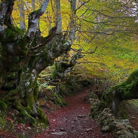 La Regoria * Carrena de Cabrales